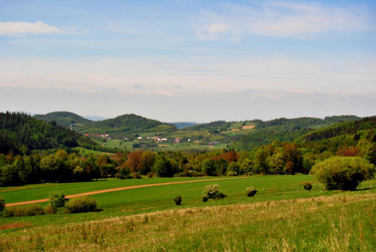Sudecka Chata Bystrzyca Kłodzka Exterior foto